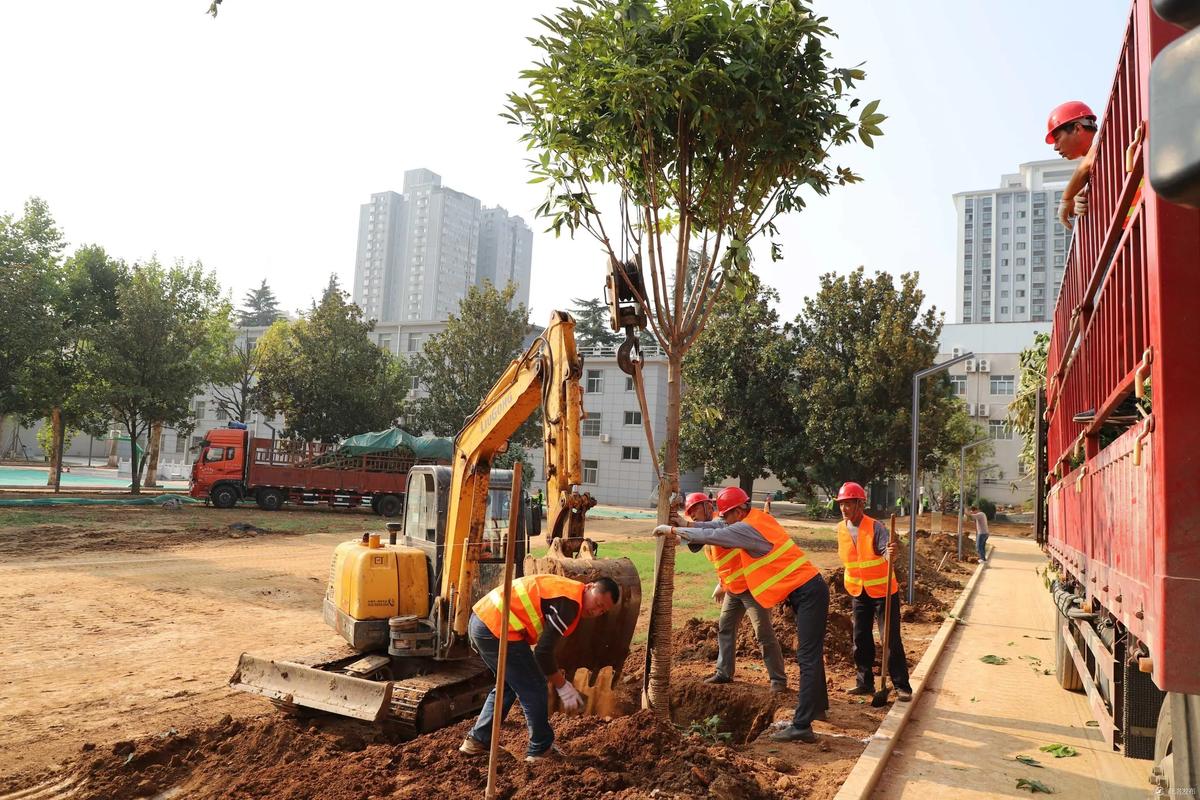 周口苗木綠化工程 專業(yè)綠化施工助力綠色園林建設(shè)