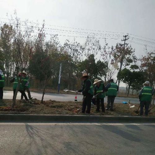 經(jīng)開區(qū)市政園林綠化工程推薦 秋樂園林，價(jià)格優(yōu)惠助力城市綠化管理